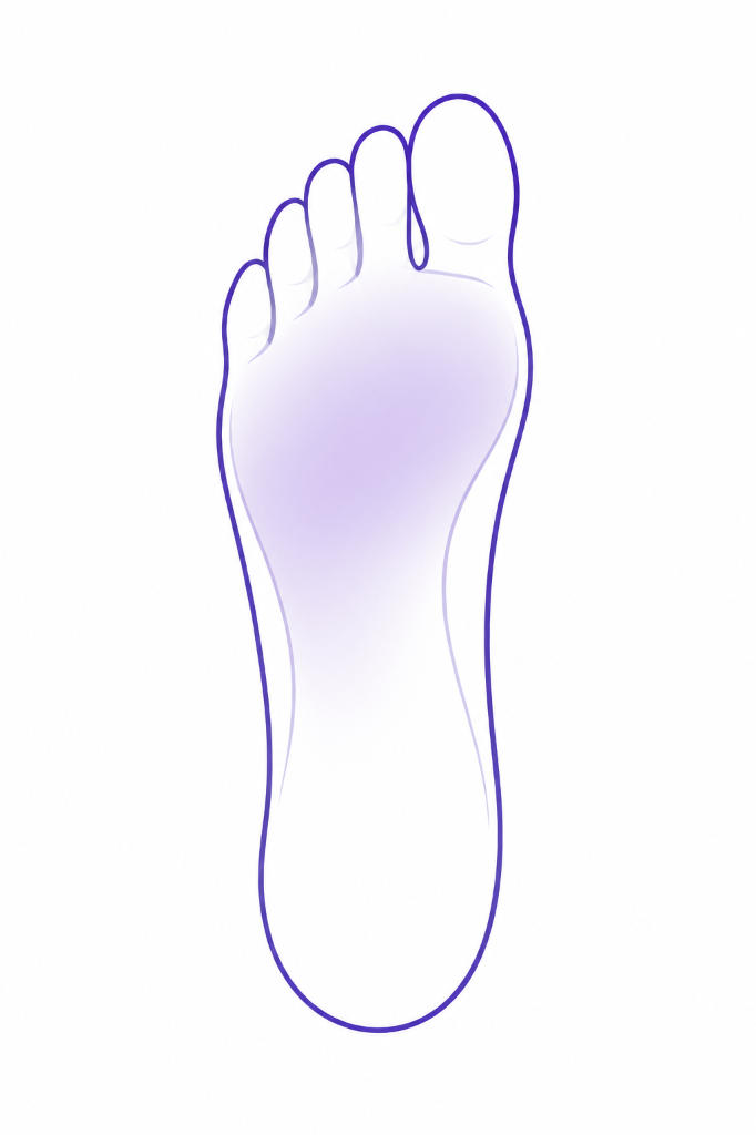 Midfoot / Forefoot Transition